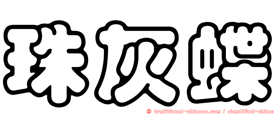 珠灰蝶