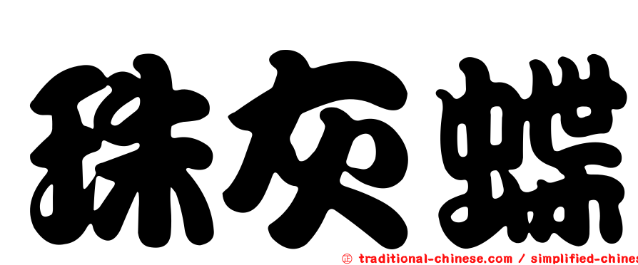 珠灰蝶