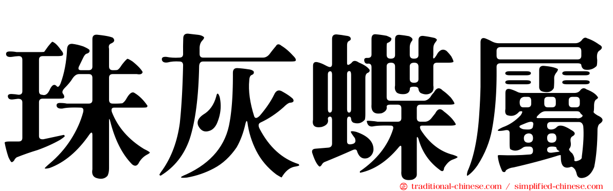 珠灰蝶屬