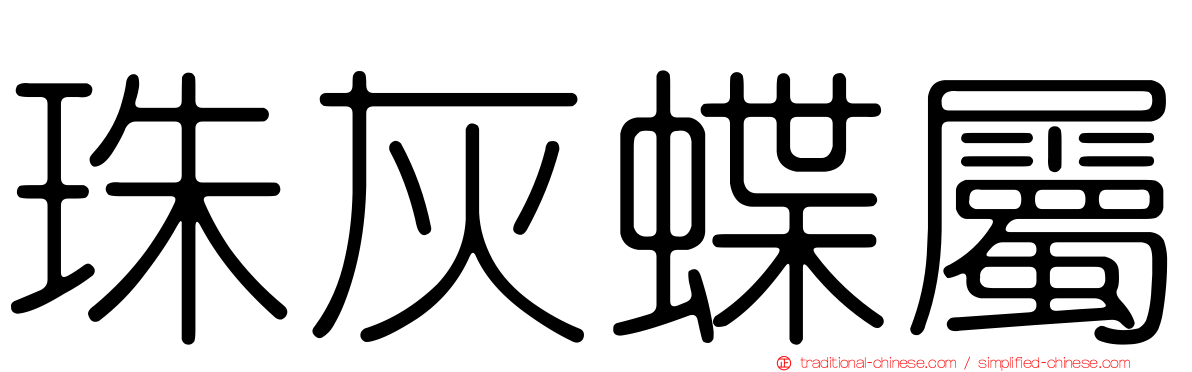 珠灰蝶屬