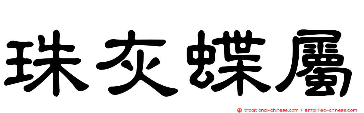 珠灰蝶屬