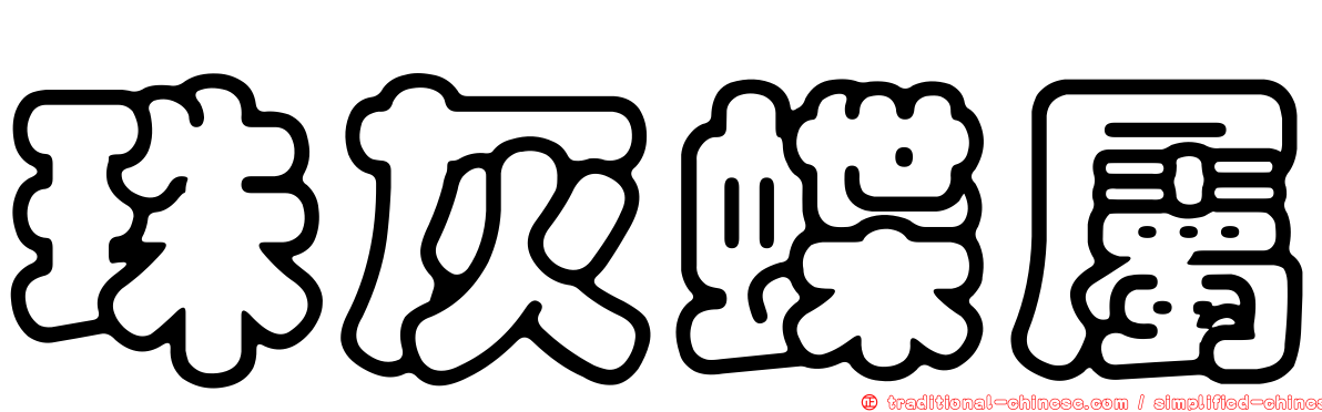 珠灰蝶屬