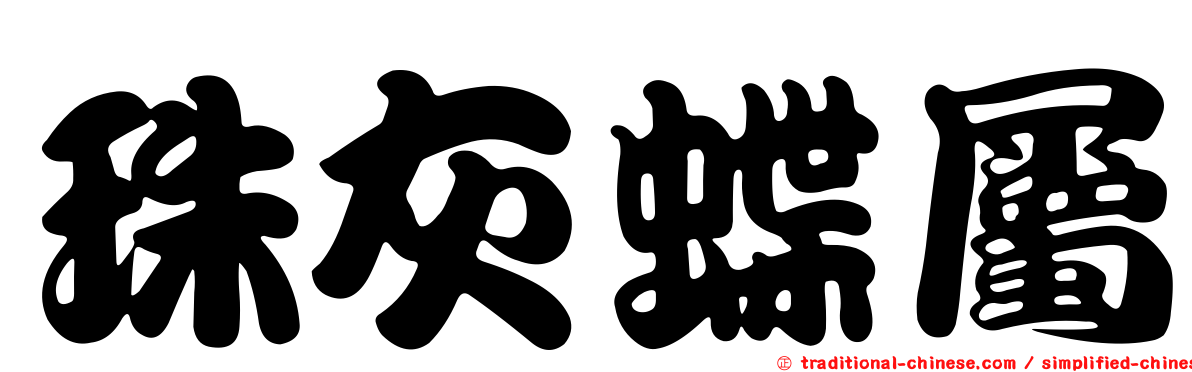 珠灰蝶屬