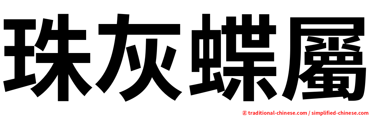 珠灰蝶屬