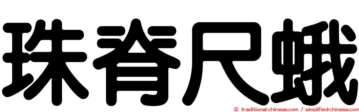 珠脊尺蛾
