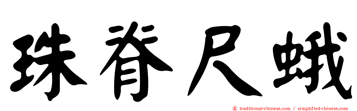 珠脊尺蛾