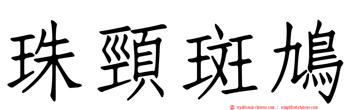 珠頸斑鳩