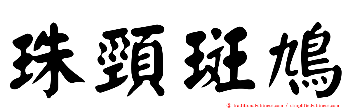 珠頸斑鳩