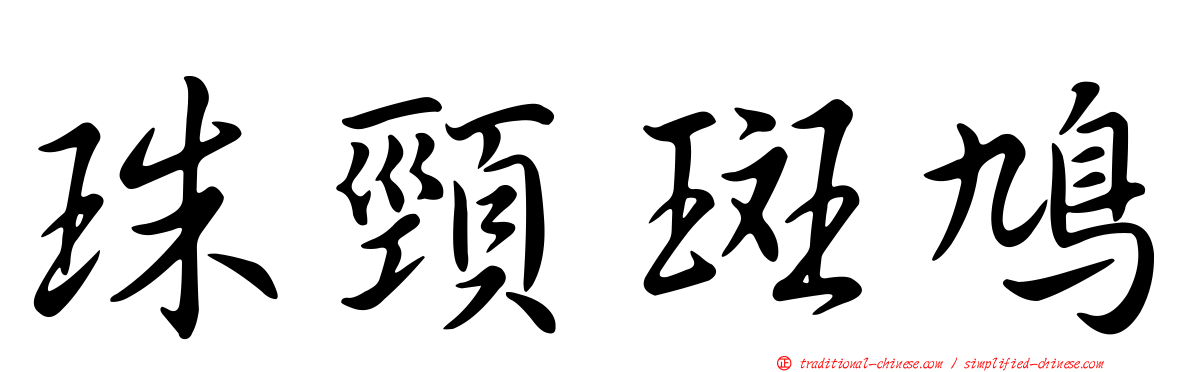珠頸斑鳩
