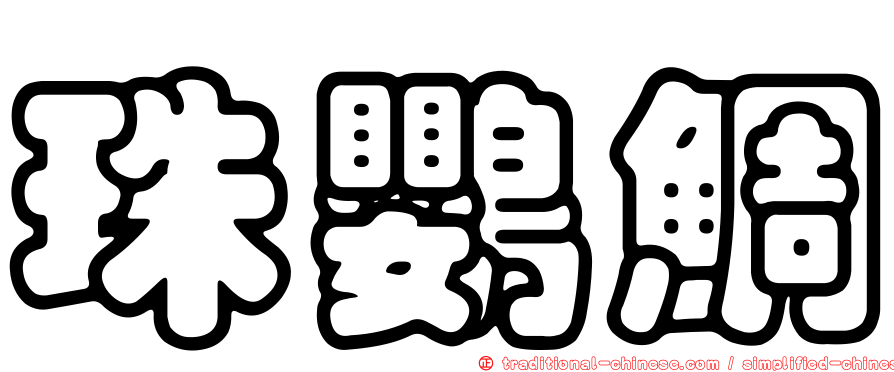 珠鸚鯛