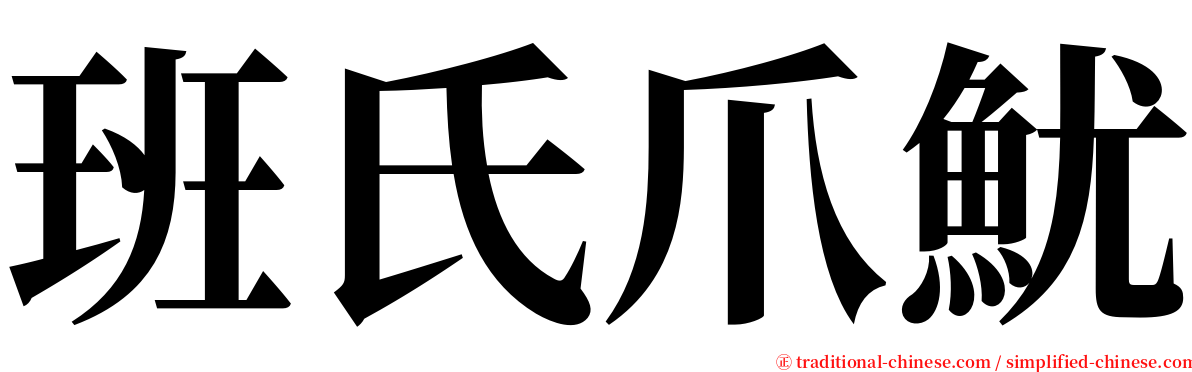 班氏爪魷 serif font