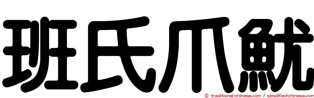 班氏爪魷
