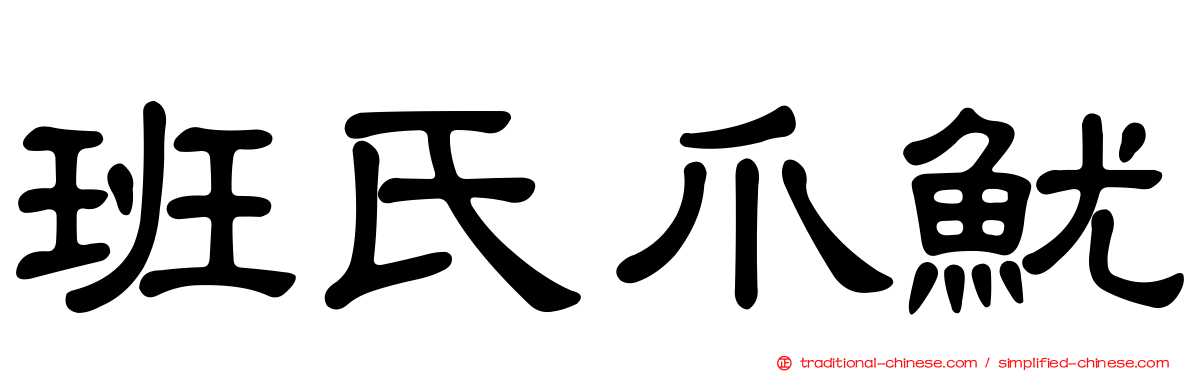 班氏爪魷