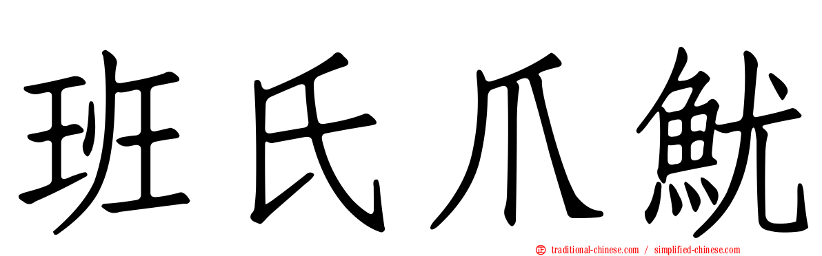 班氏爪魷