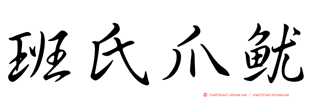 班氏爪魷