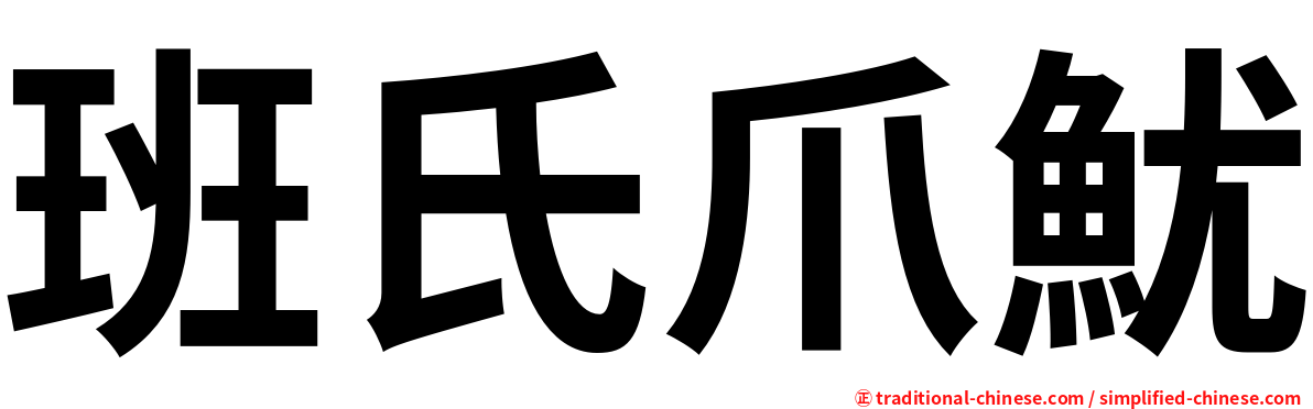 班氏爪魷