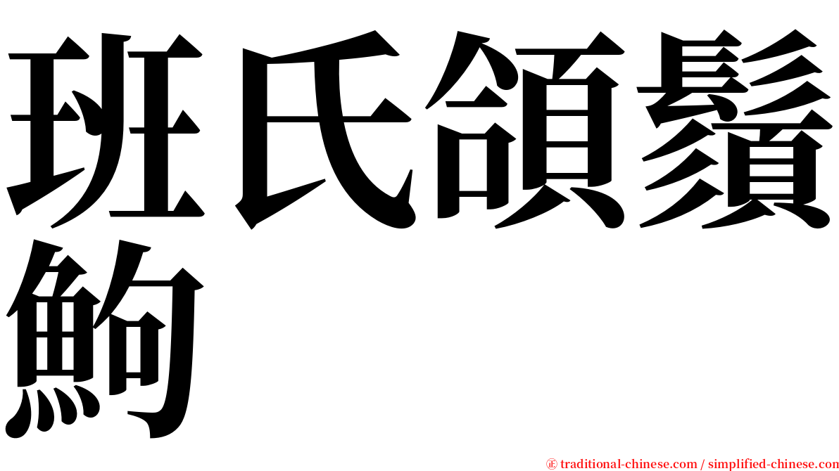 班氏頜鬚鮈 serif font