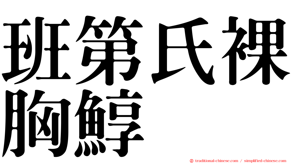 班第氏裸胸鯙