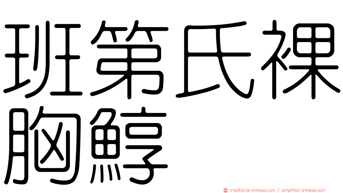 班第氏裸胸鯙