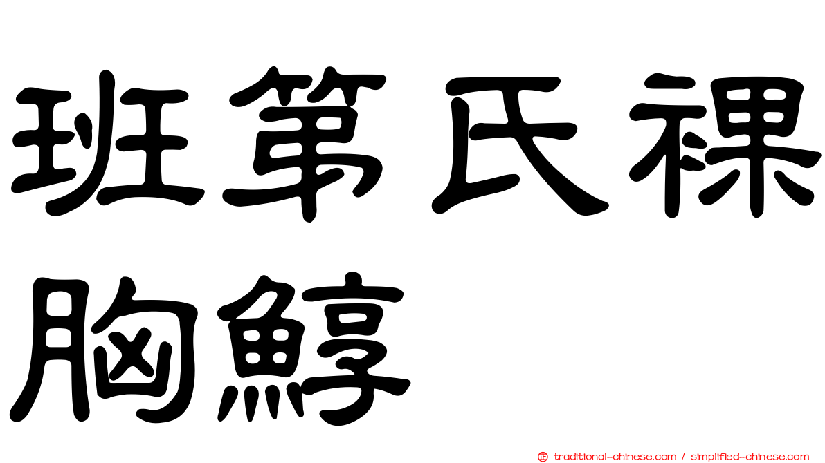 班第氏裸胸鯙