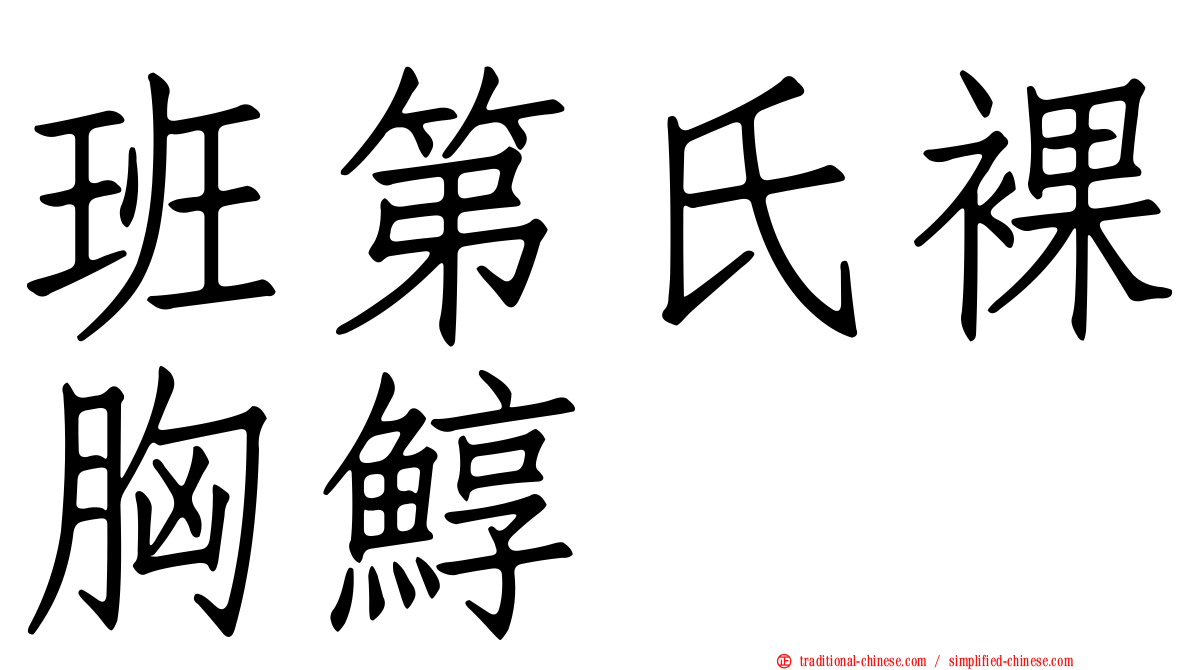 班第氏裸胸鯙