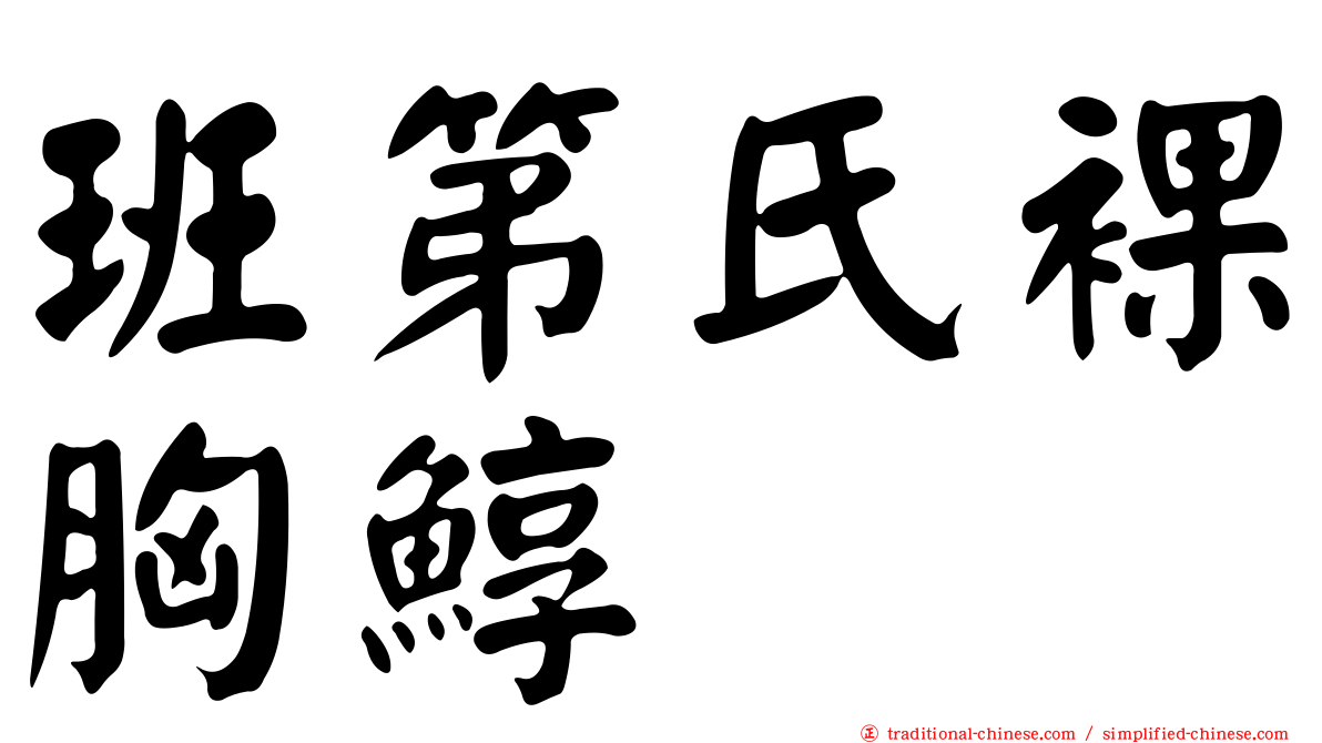 班第氏裸胸鯙