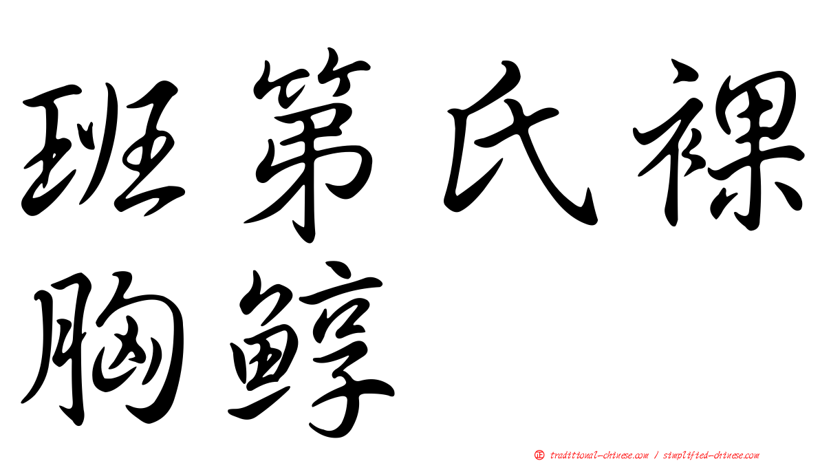 班第氏裸胸鯙