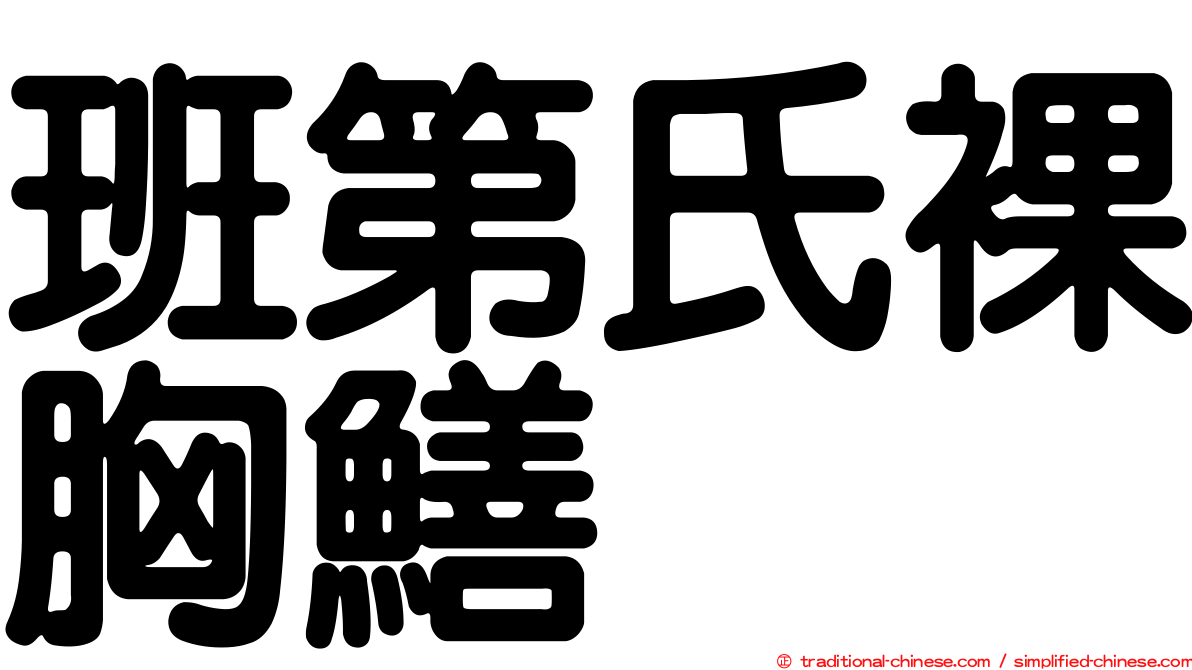 班第氏裸胸鱔