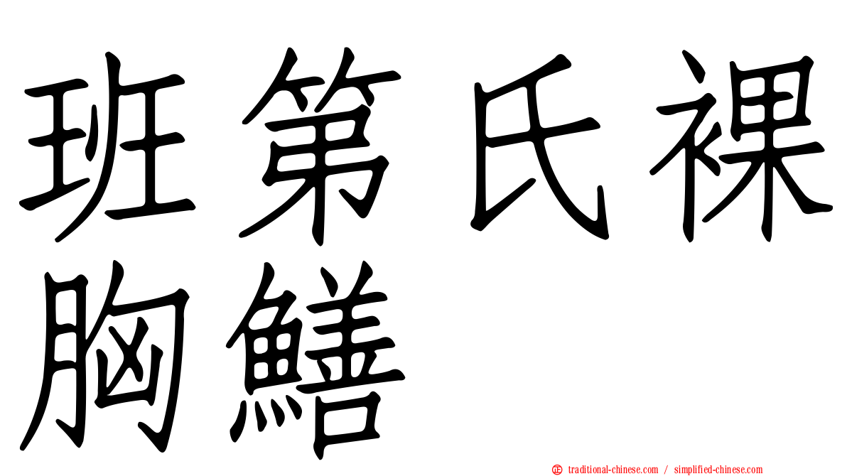 班第氏裸胸鱔