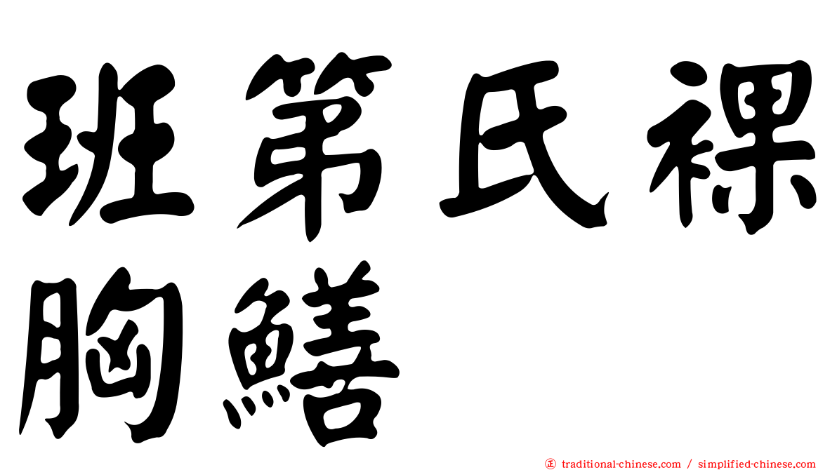 班第氏裸胸鱔