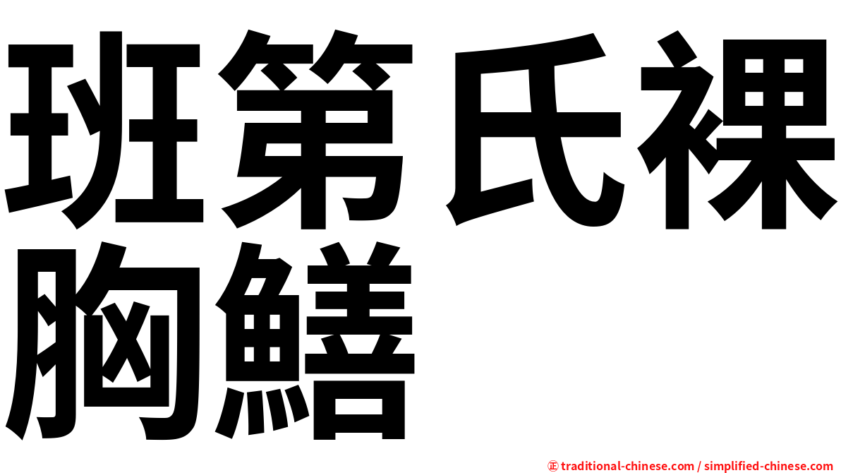 班第氏裸胸鱔