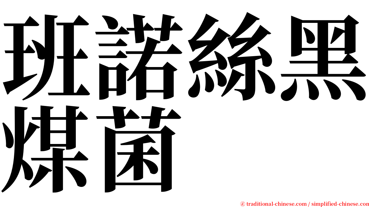 班諾絲黑煤菌 serif font