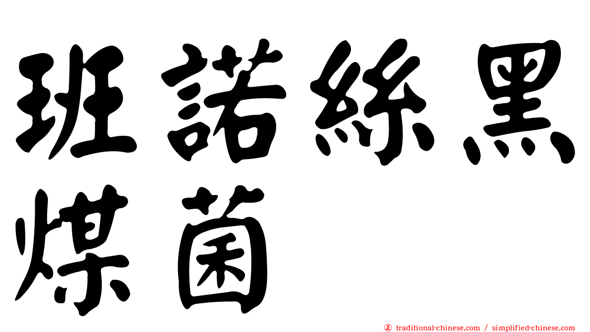 班諾絲黑煤菌