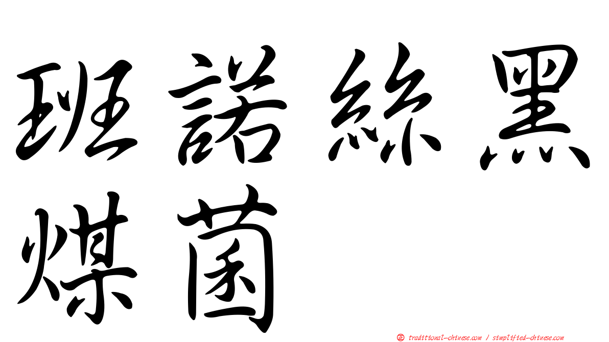 班諾絲黑煤菌