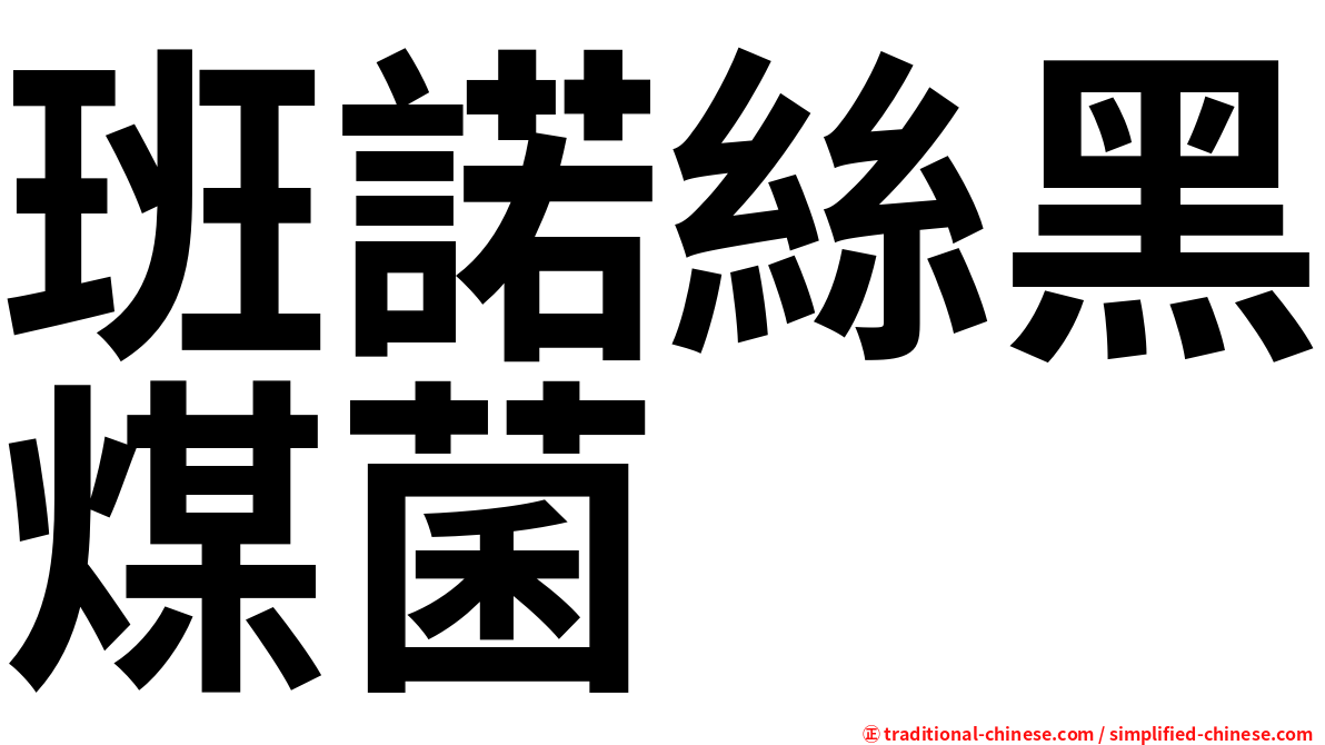 班諾絲黑煤菌
