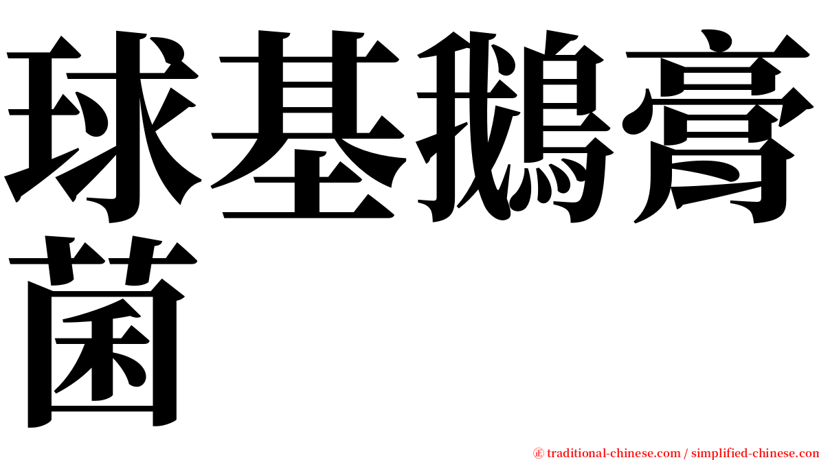 球基鵝膏菌 serif font