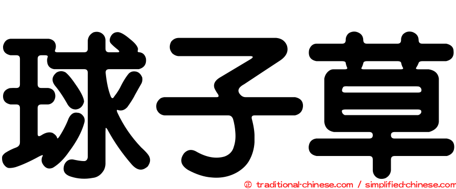 球子草