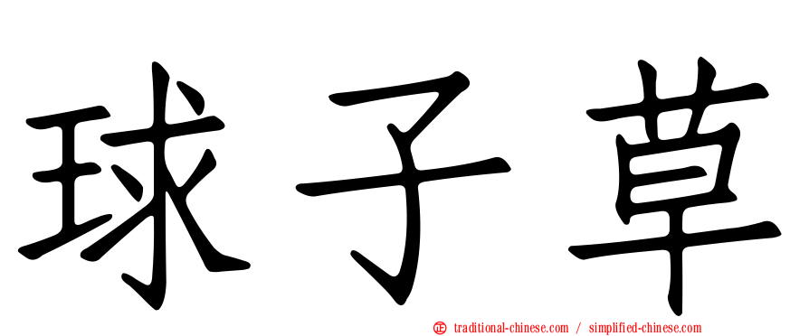 球子草