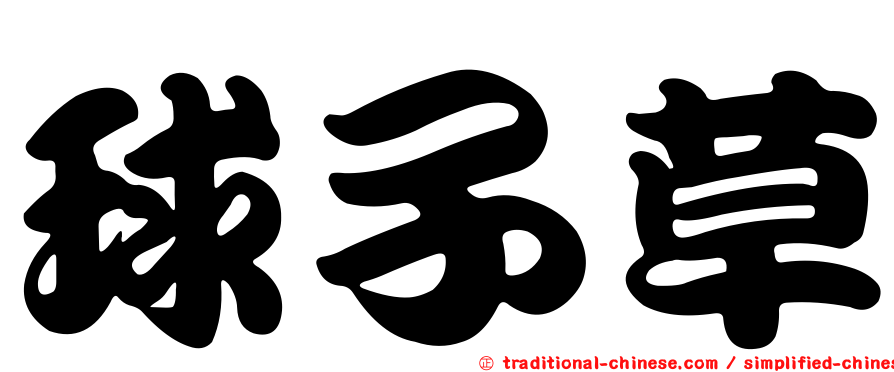 球子草
