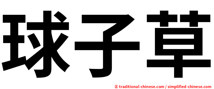 球子草