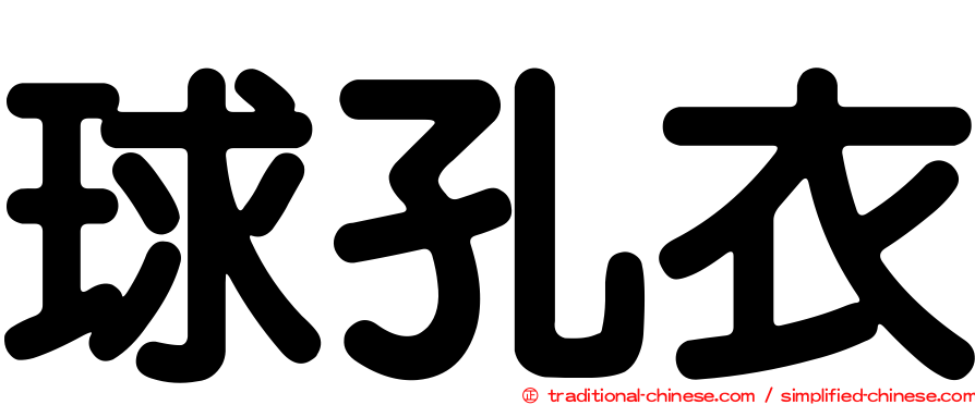 球孔衣