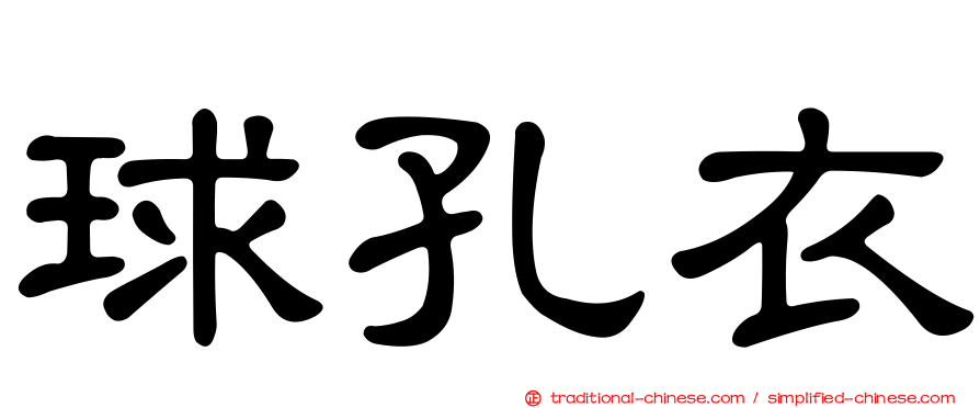 球孔衣