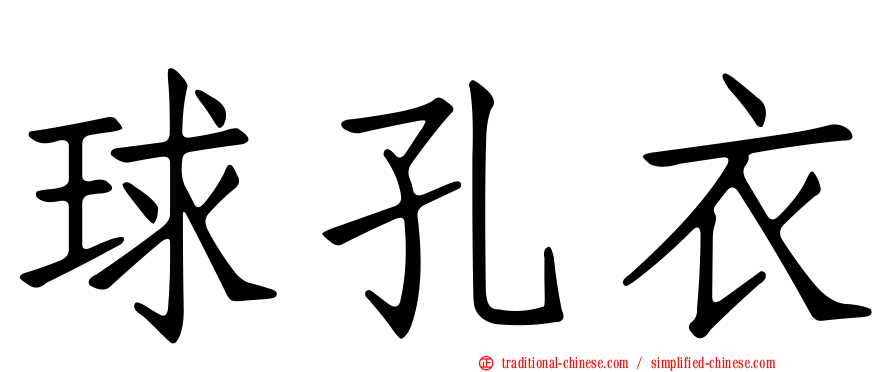 球孔衣