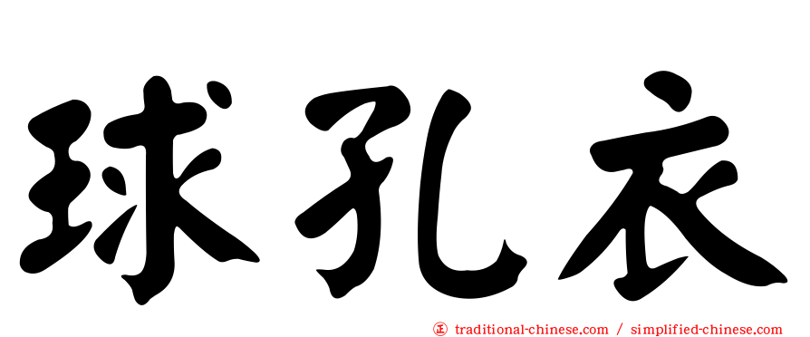 球孔衣