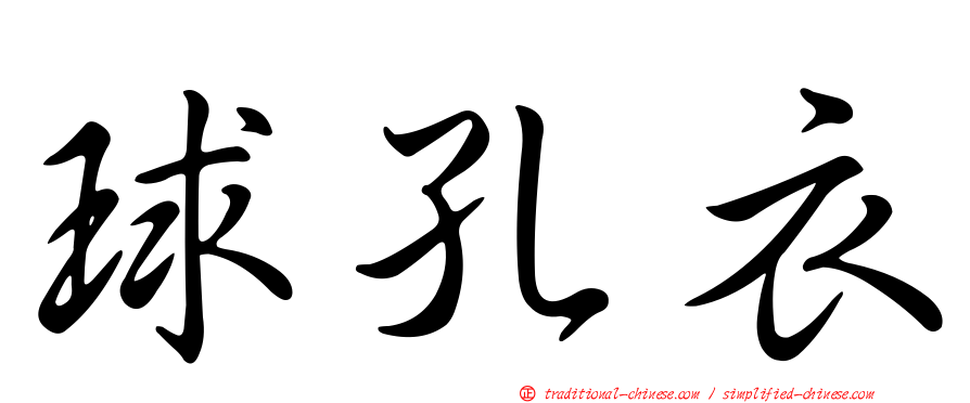 球孔衣