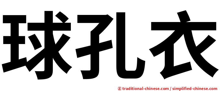 球孔衣