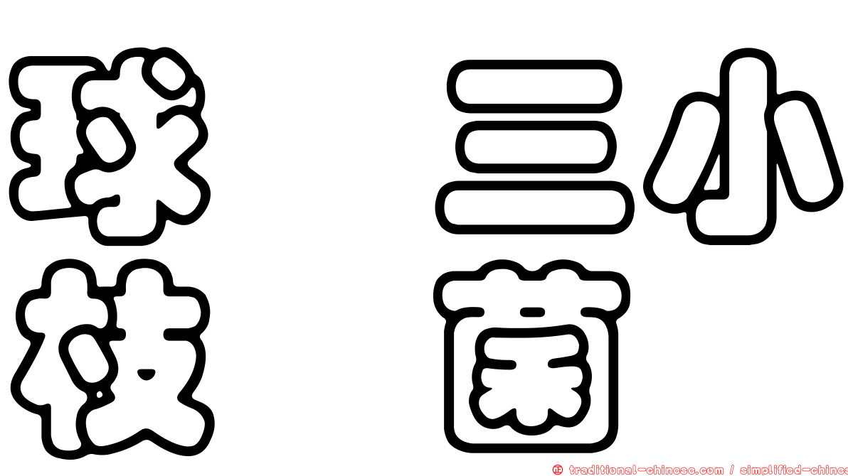 球孢三小枝孢菌