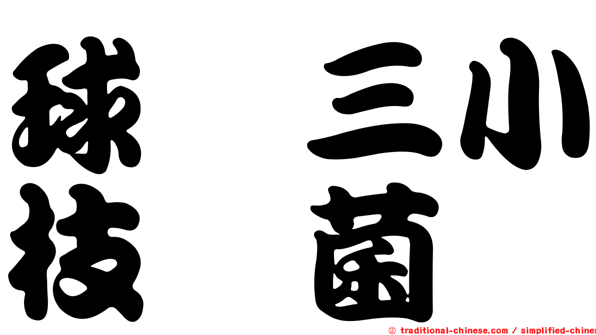 球孢三小枝孢菌