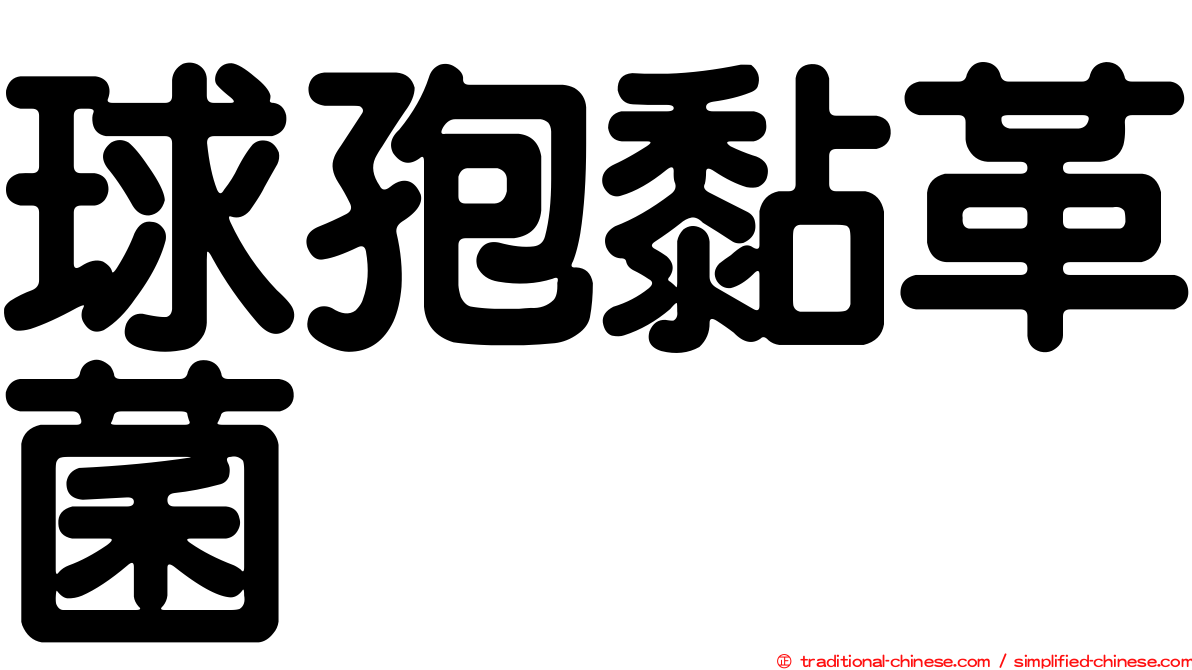 球孢黏革菌