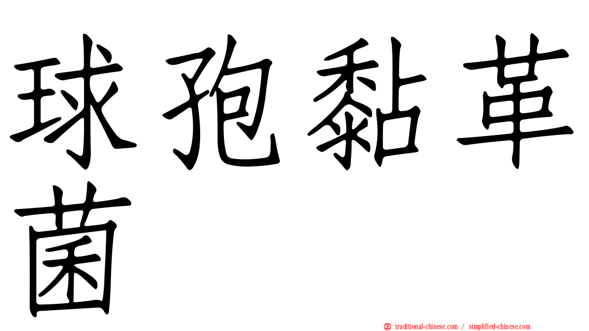 球孢黏革菌